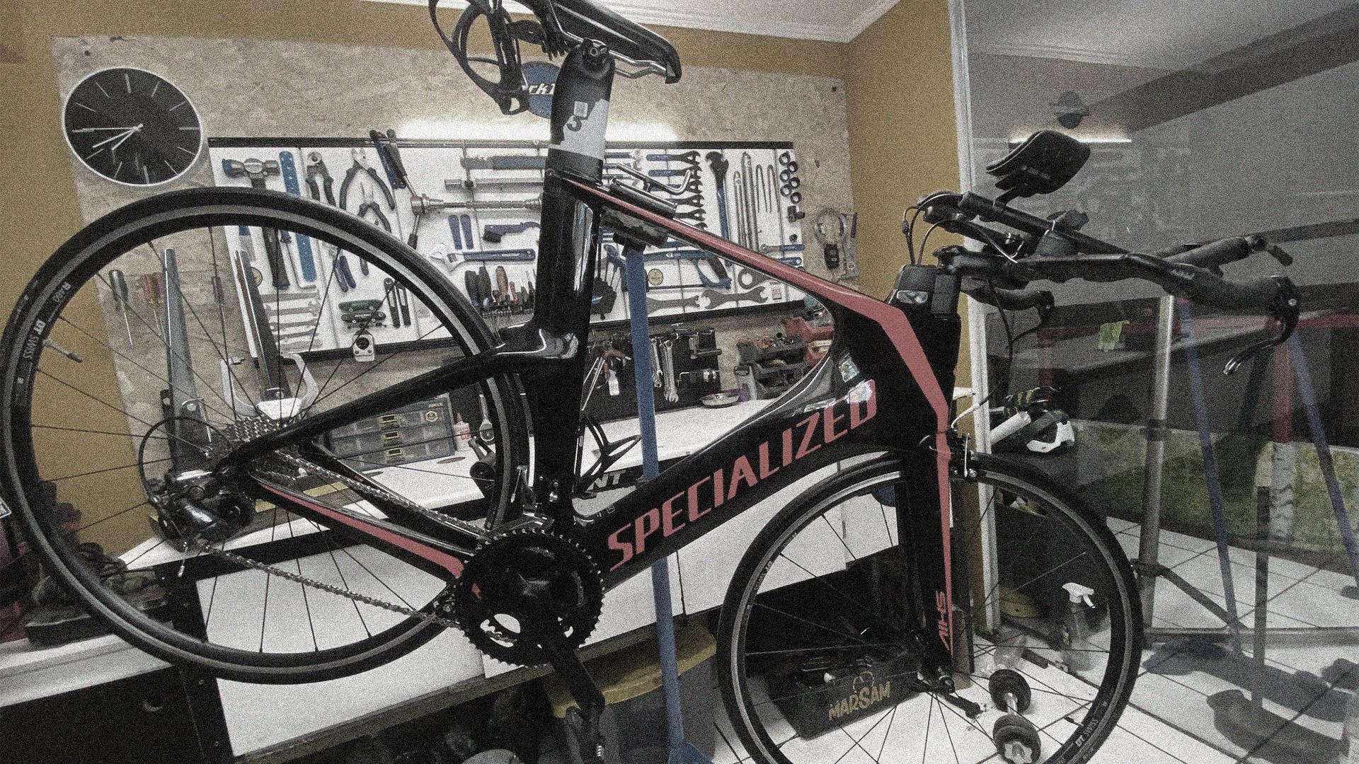 Experiencia y Calidad